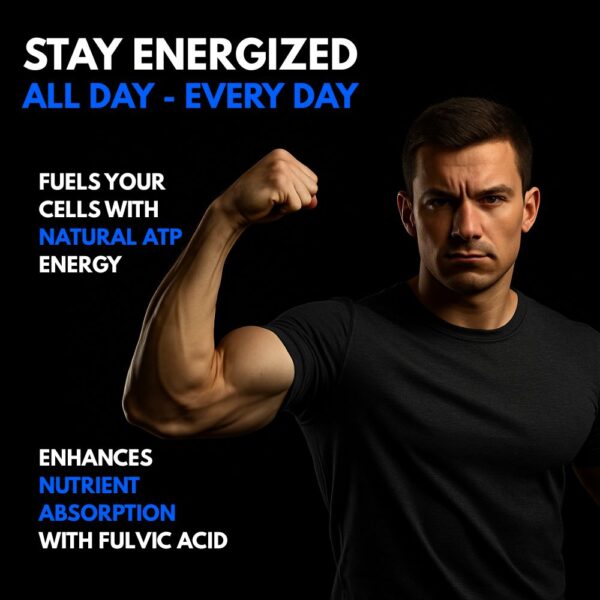 STAY ENERGIZED